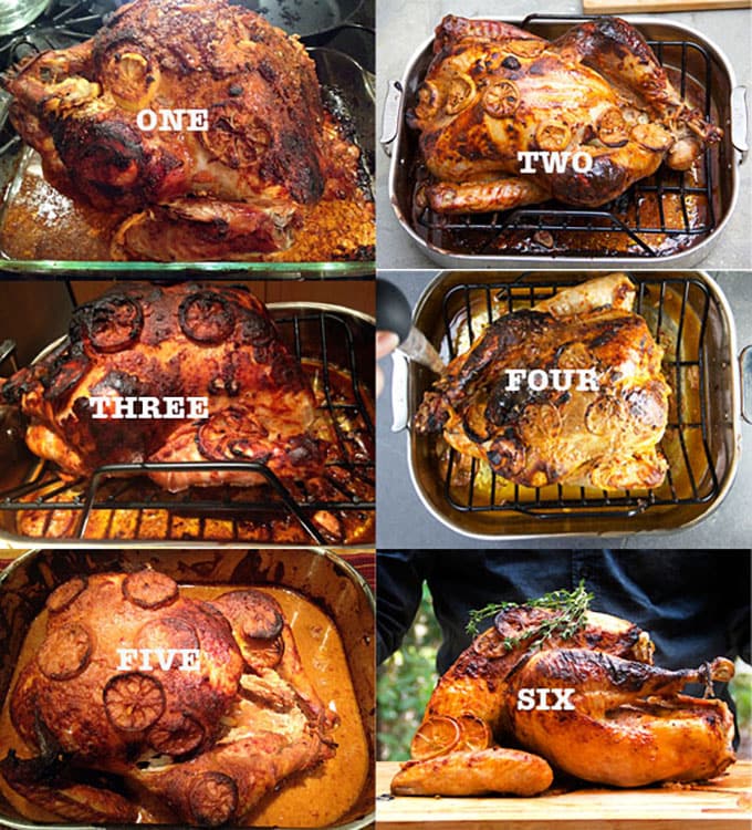 Six turkeys
