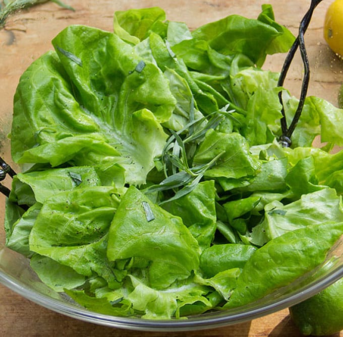 Butter Lettuce Salad with Citrus Honey Vinaigrette - Panning The Globe