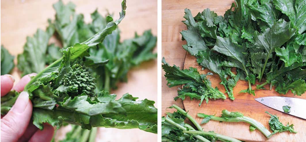 two images showing close ups of raw broccoli rabe, one shows fingers holding a bud, the other shows leaves on a cutting board