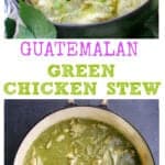 bowl of green chicken stew and pot of green chicken stew