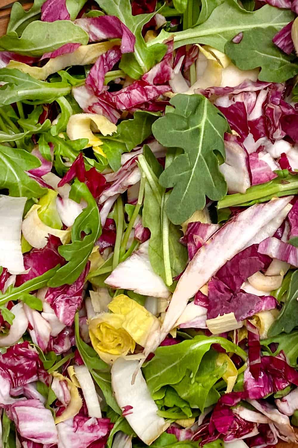 Close up of tricolore salad leaves: Arugula, radicchio and endive