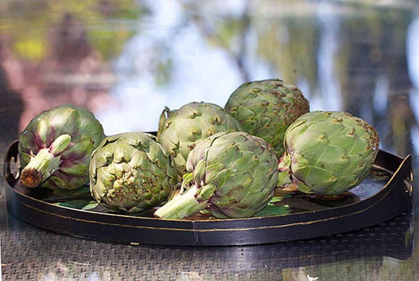 6 globe artichokes on a platter