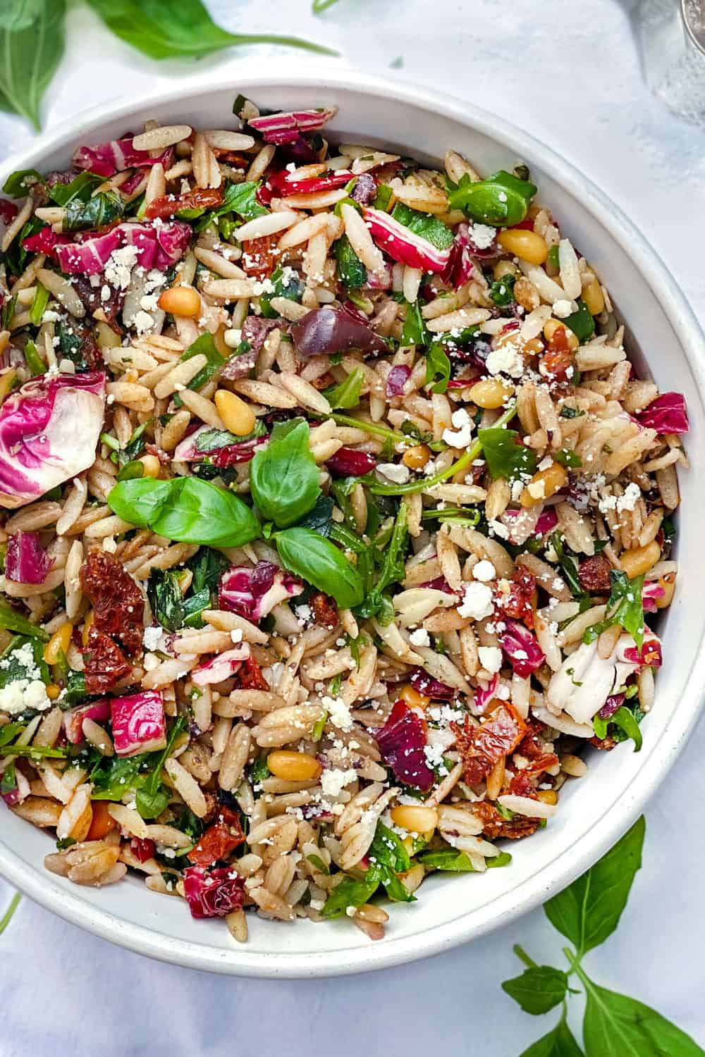 colorful orzo pasta salad in a white bowl with a basil sprig in the center