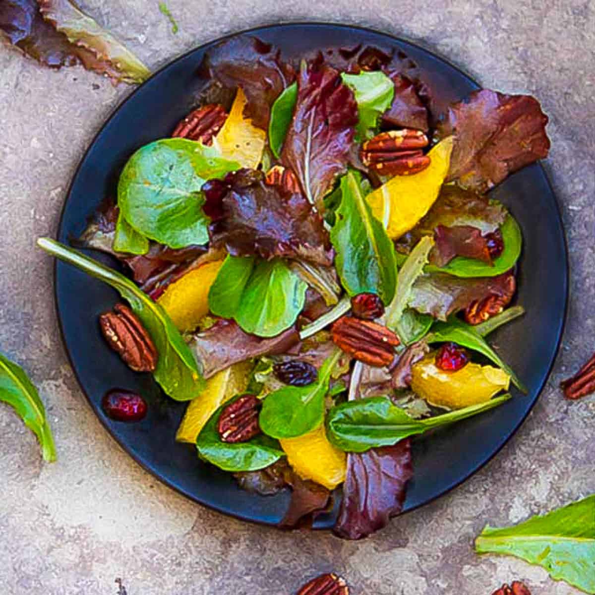 leafy salad on a small plate with baby romaine, orange segments, toasted pecans and cranberries.