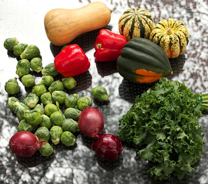 Ingredients for roasted stuffed squash on a table: a whole butternut squash, 3 acorn squash, 2 red bell peppers, 3 red onions, a bunch of kale and about 35 Brussels sprouts.