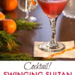 vibrant red swinging sultan cocktail in a martini glass surrounded by 3 oranges, sprigs of evergreen and crystal glassware