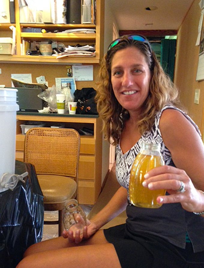 Sheryl filling honey jars