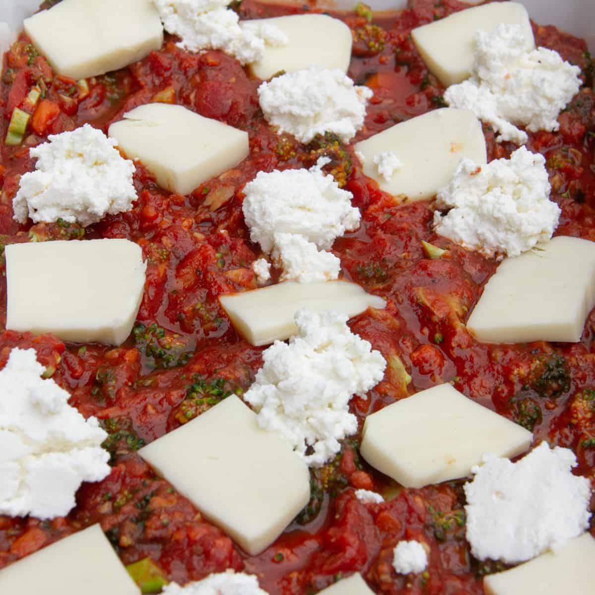 vegetarian tomato sauce with squares of mozzarella and blobs of ricotta on top of it.
