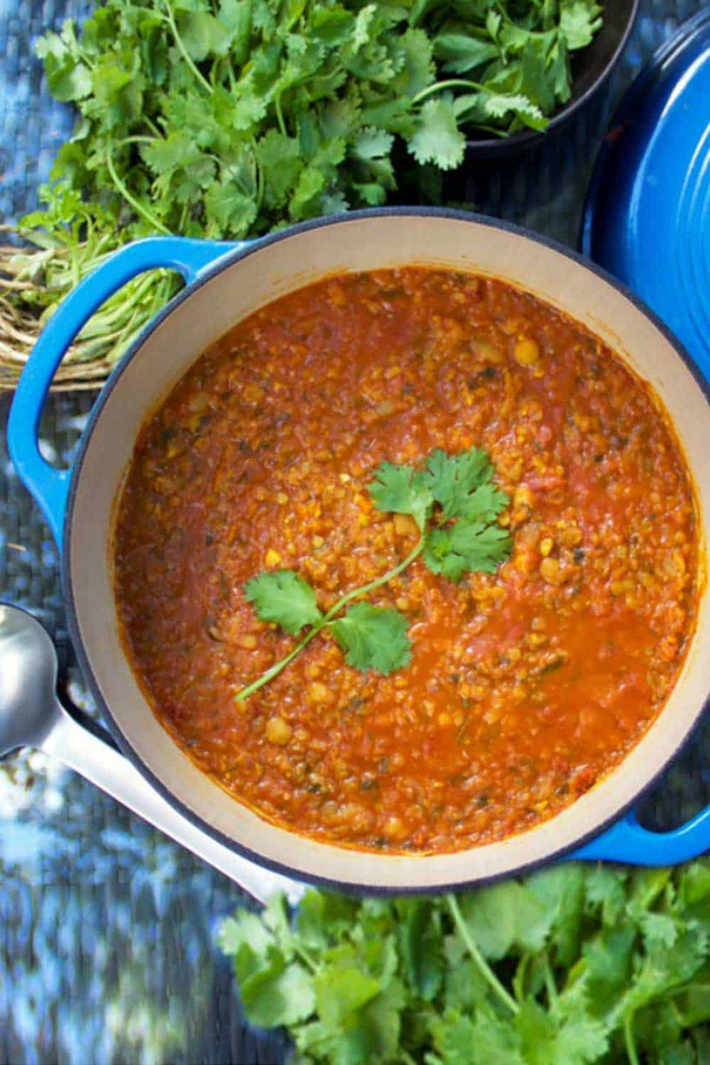 blue dutch over filled with beautiful orange moroccan red lentil soup and a big sprig of green cilantro in the middle