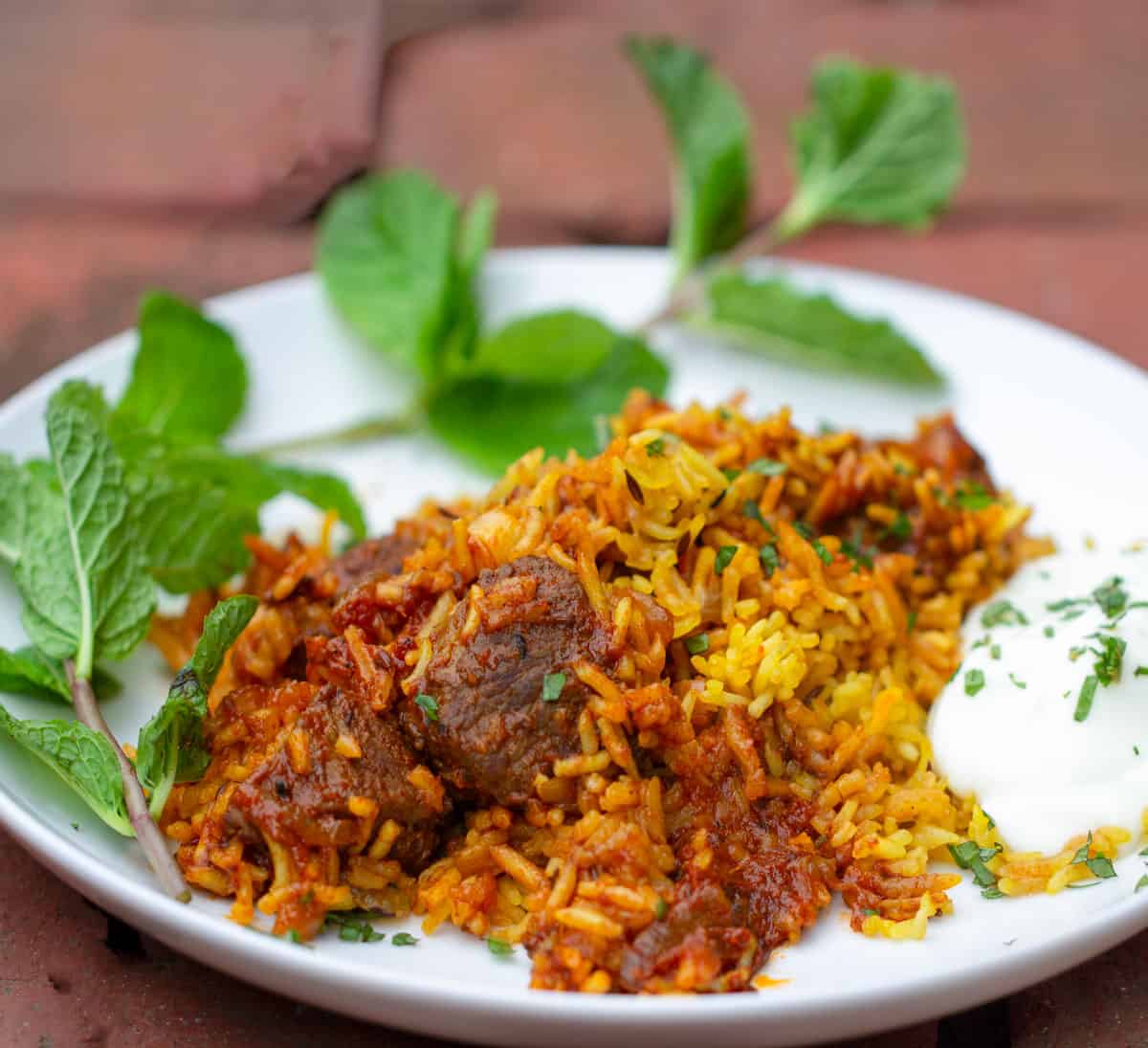 plate with a serving of lamb biryani and a very long windy sprig of mint. A small blob of yogurt raita on the side.