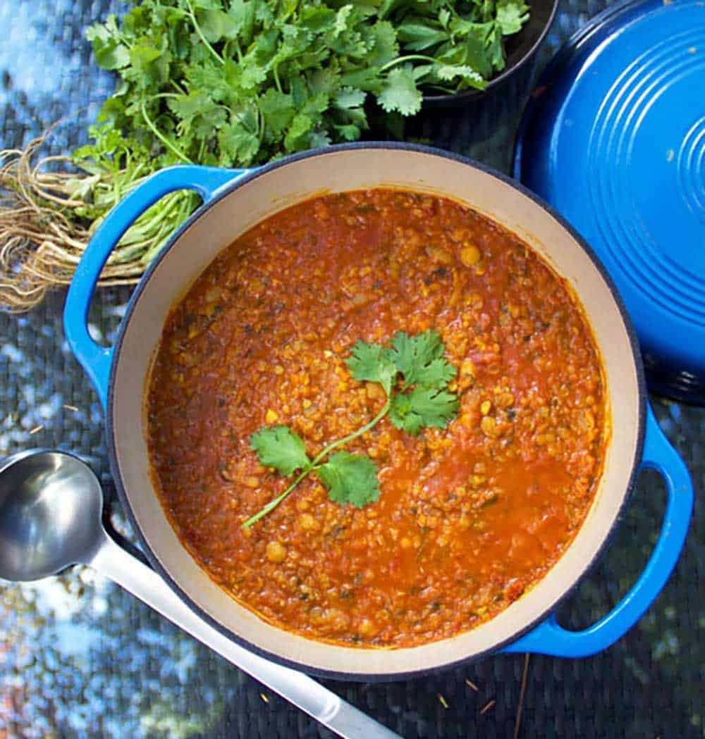 blue dutch over filled with beautiful orange moroccan red lentil soup and a big sprig of green cilantro in the middle