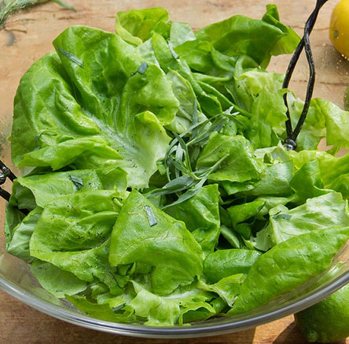Butter Lettuce Salad with Citrus Honey Vinaigrette - Panning The Globe