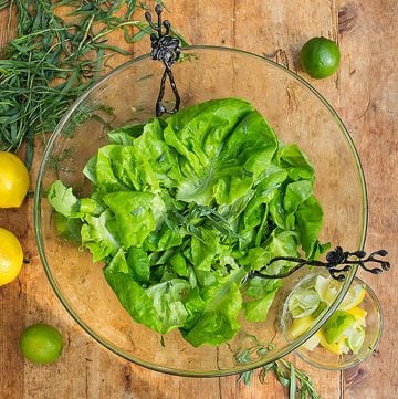 Butter Lettuce Salad with Citrus Honey Vinaigrette - Panning The Globe