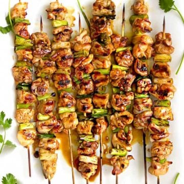 8 skewers of yakitori chicken with scallions, and sprigs of cilantro decorating the edges