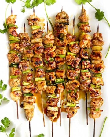 8 skewers of yakitori chicken with scallions, and sprigs of cilantro decorating the edges