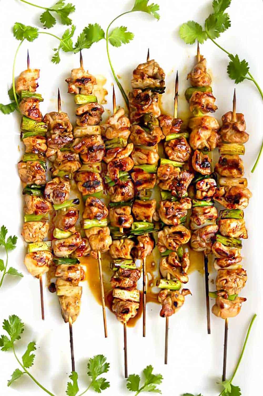8 skewers of yakitori chicken with scallions, and sprigs of cilantro decorating the edges