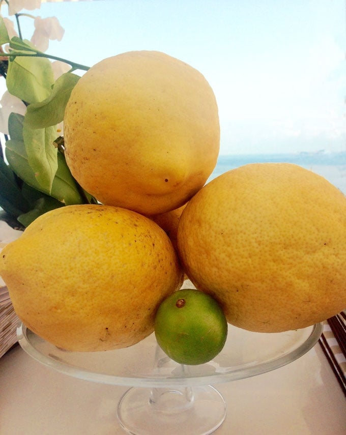 giant Amalfi lemons