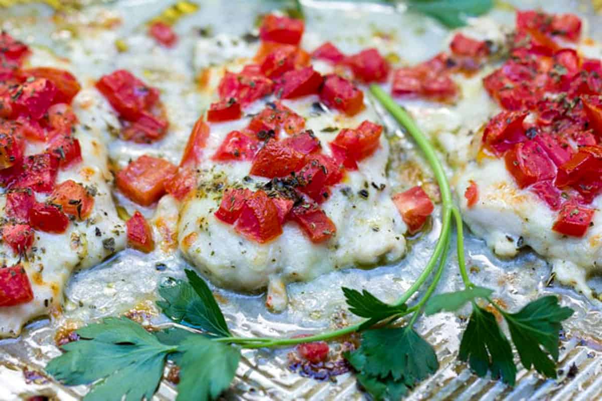 close up of baked chicken pizzaiola - a baked chicken cutlet topped with cheeses and chopped tomatoes and herbs