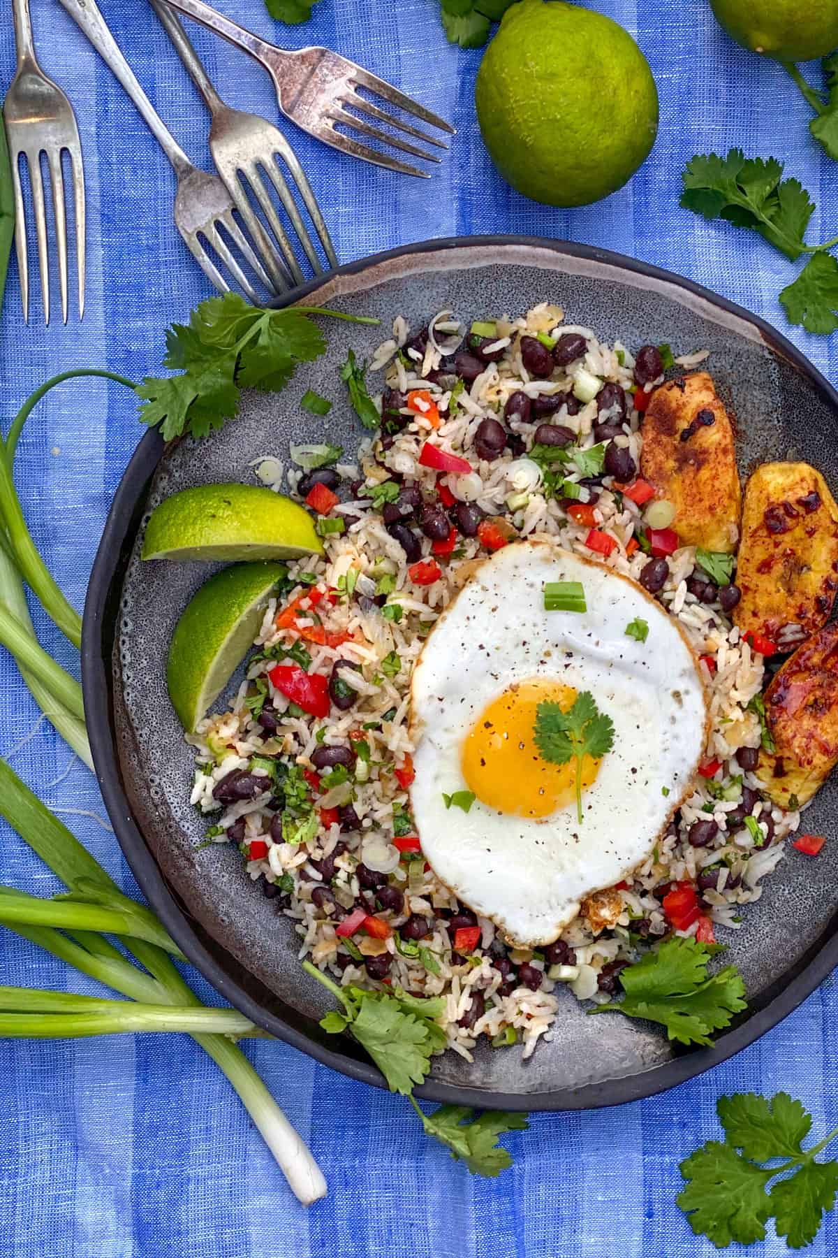 a grey plate on a vivid blue cloth napkin, the plate topped with Costa Rican gallo pinto: rice and beans flecked with red bell peppers, scallions and cilantro, and topped with a fried egg