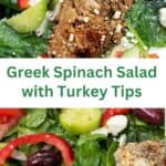 Greek spinach salad with turkey tips