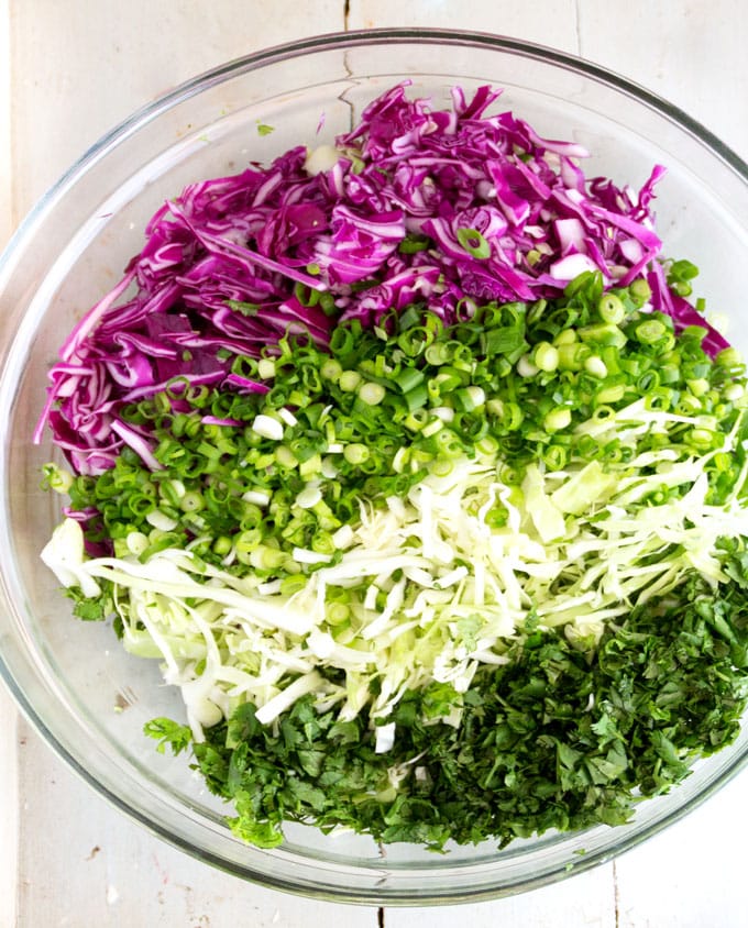 A glass bowl with a rainbow of coleslaw ingredients, red cabbage, chopped scallions, green cabbage and cilantro.