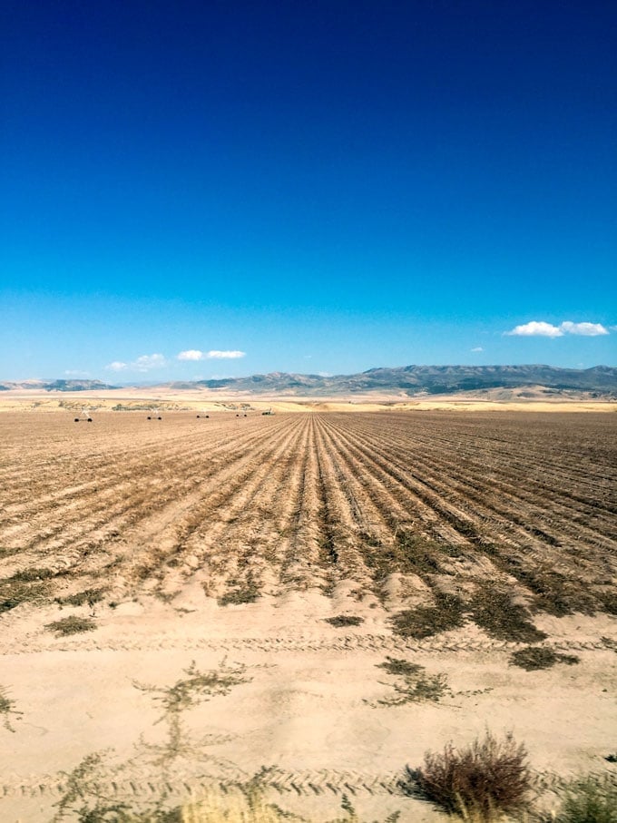 idaho-dessert-web