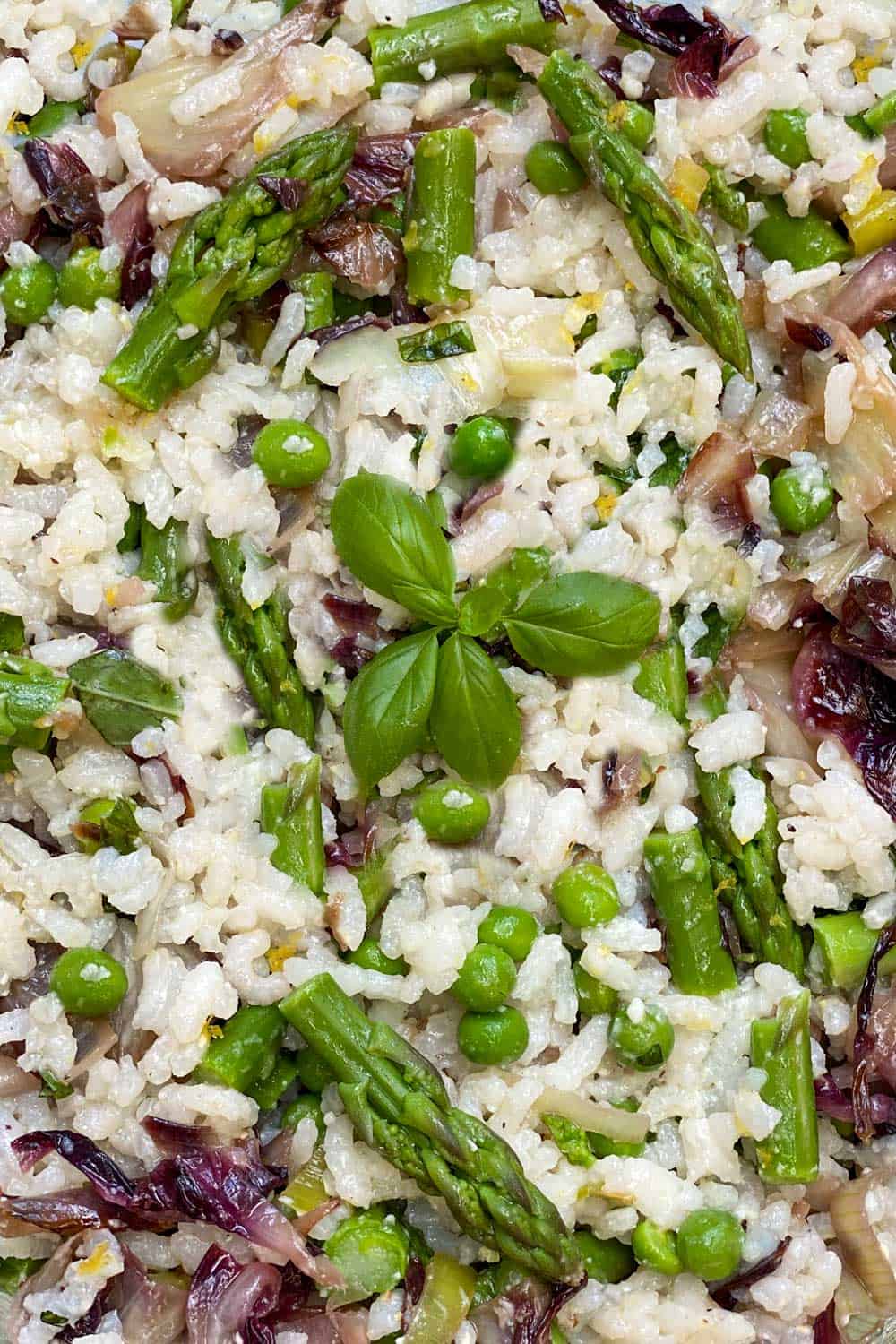 mediterranean rice salad close up, showing grains of arborio rice, asparagus tips, green peas, bits of sautéed radicchio and leeks.