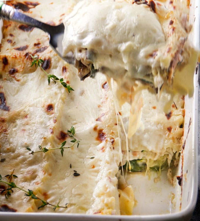 This Tuscan vegetarian lasagna is very special (carnivores will think so too) Creamy béchamel sauce, smoky mozzarella, fresh zucchini, layered with noodles and baked until hot and bubbly. Family friendly, company worthy, so good!