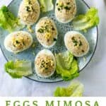 pinterest pin: 6 deviled eggs on a b blue plate