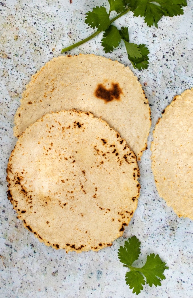 close up shot of two freshly made corn tortillas on a light blue speckled countertop with a couple of cilantro sprigs