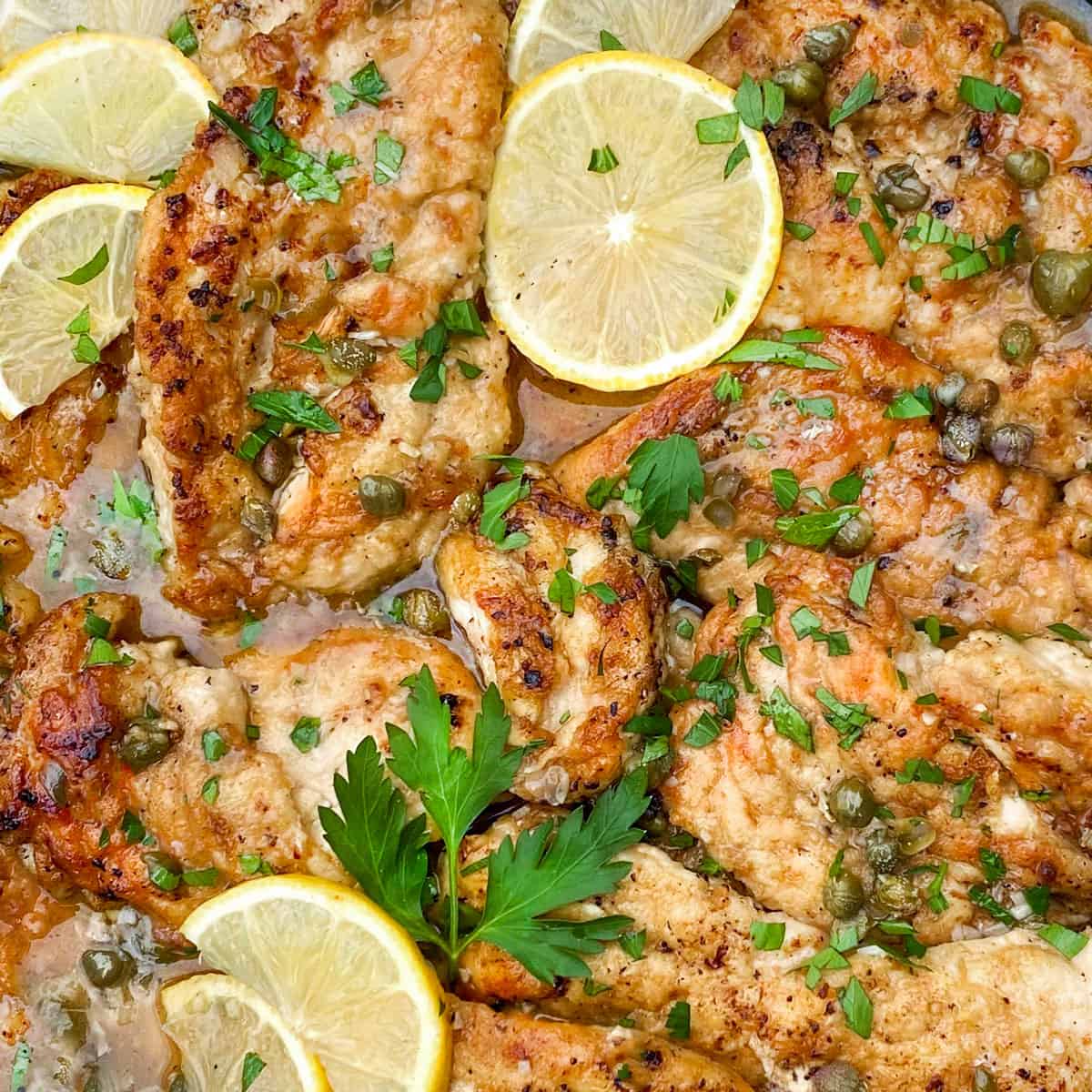 close up of 4 chicken piccata fillets toped with chopped parsley and few thin slices of lemon