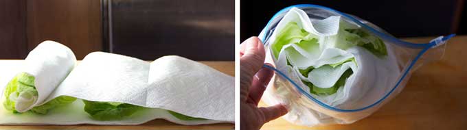 How to store lettuce rolled in paper towels so it stays fresh and crisp for days.