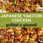 yakitori glazed chicken and scallions skewers