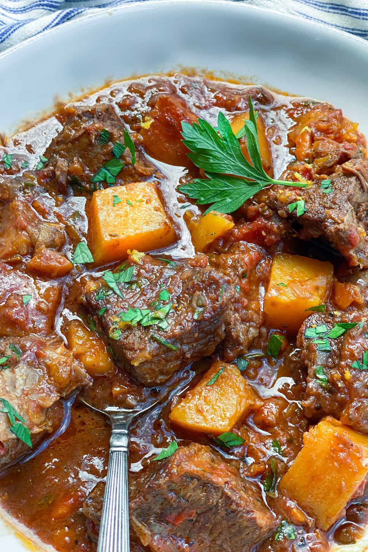 closeup of a bowl of beef short ribs stew with butternut squash and a sprig of parsley