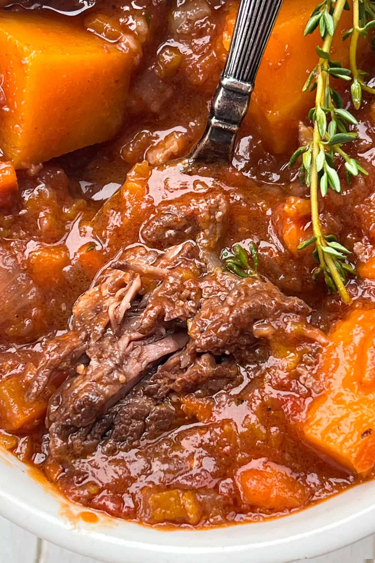 close up of beef short rib stew with butternut squash and a fork sticking into the falling-apart beef.