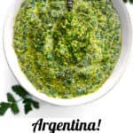 Pinterest pin, photo looking down on a bowl of chimichurri sauce with a spoon in it