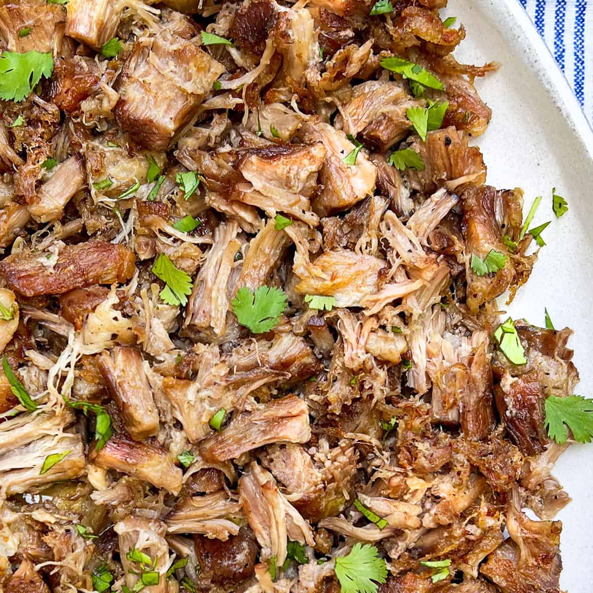 Mexican deals shredded pork