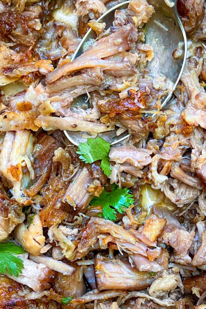 close up of shredded pork carnitas