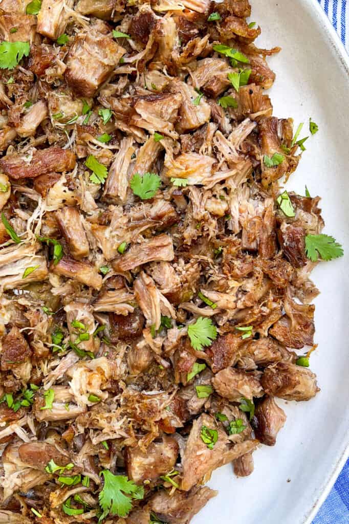 Closeup overhead shot of a white serving bowl filled with pork carnitas, sprinkled with cilantro