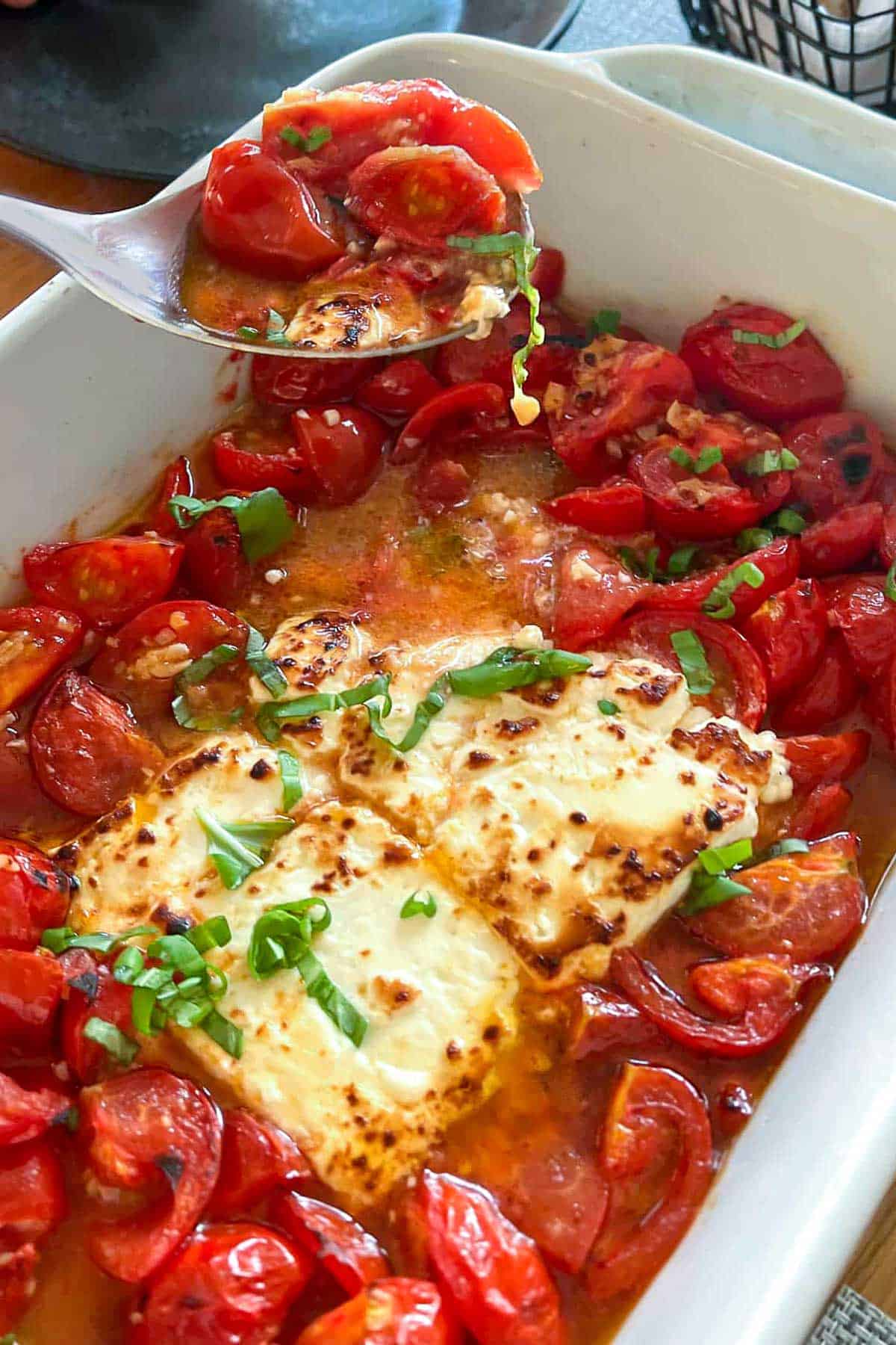 a block of broiled feta in a white rectangular casserole dish, surrounded by sautéed cherry tomatoes