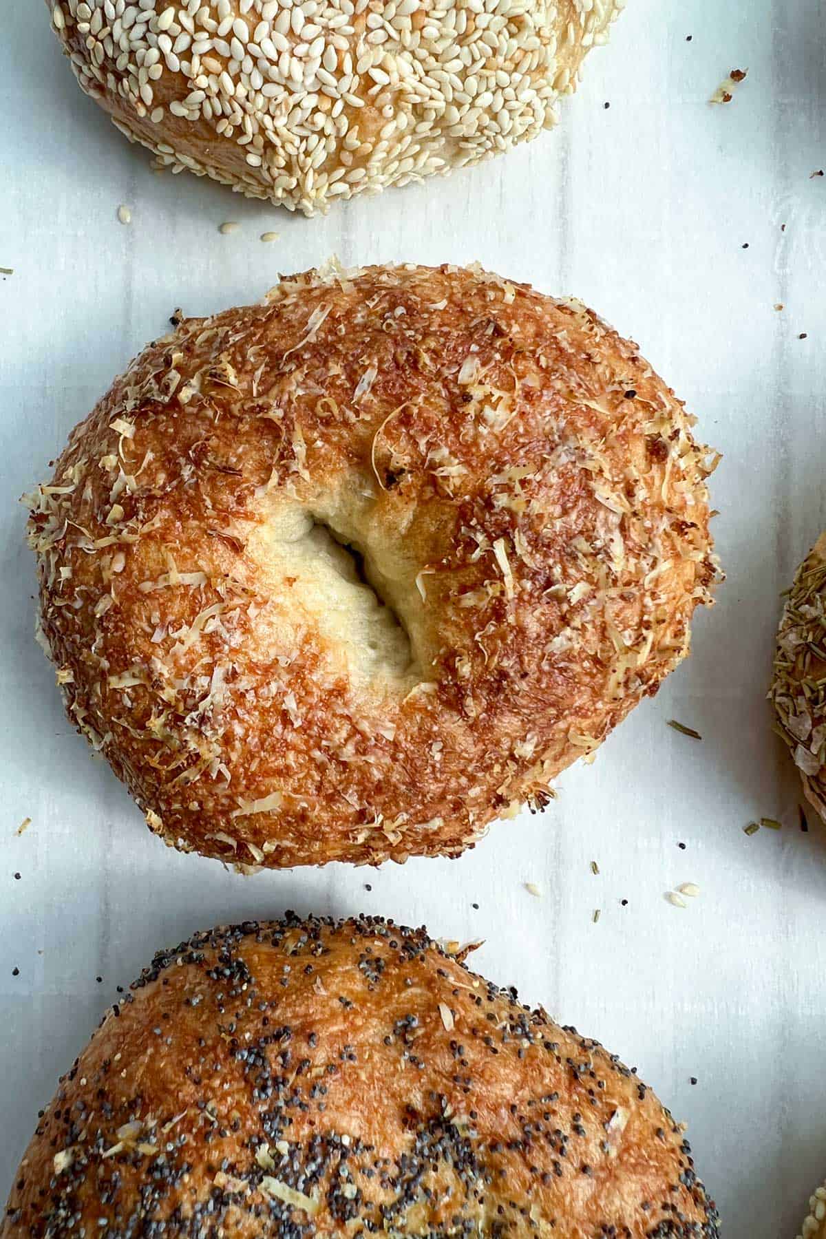 an asiago cheese bagel on a white surface