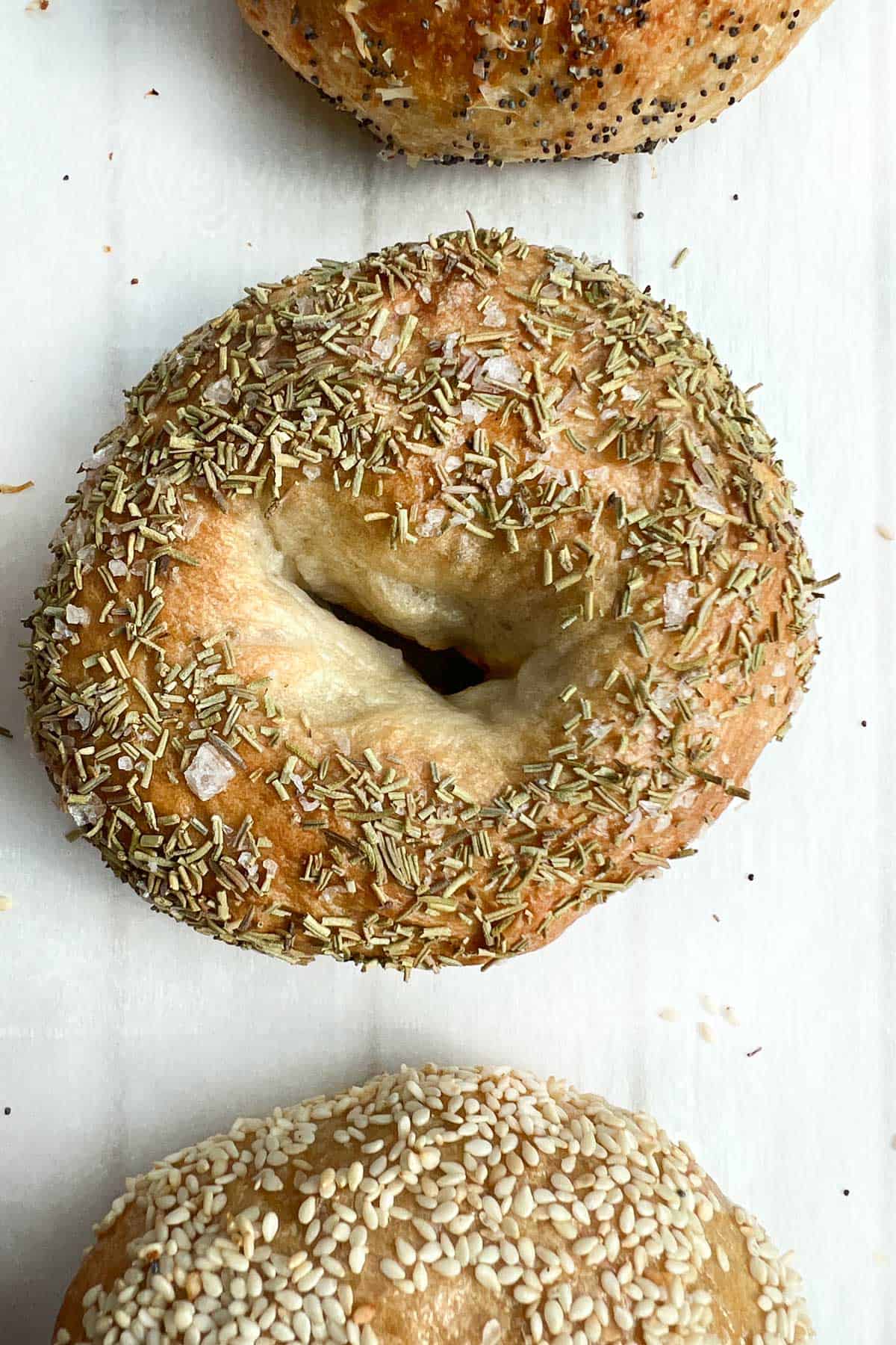 A rosemary sea salt bagel.