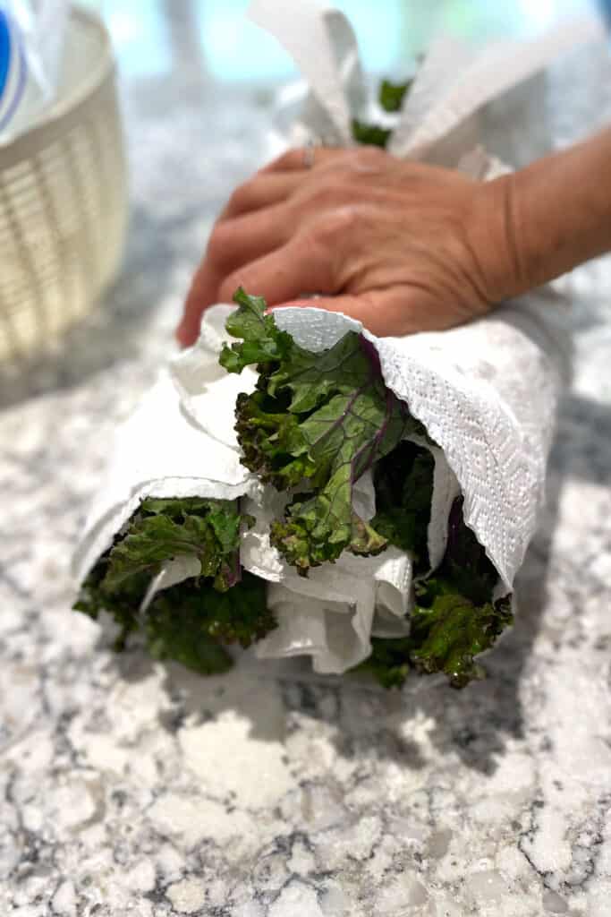 kale leaves rolled up in paper towels