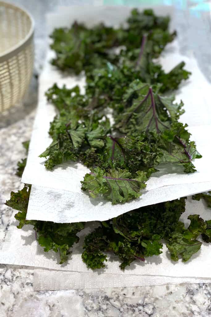 curly kale laid out on paper towels in two layers