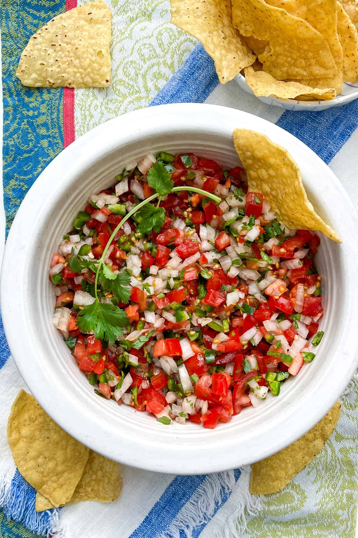 A corn tortilla chip tucked into a bowl filled with finely chopped fresh salsa made from tomatoes, chilies, onion and cilantro.