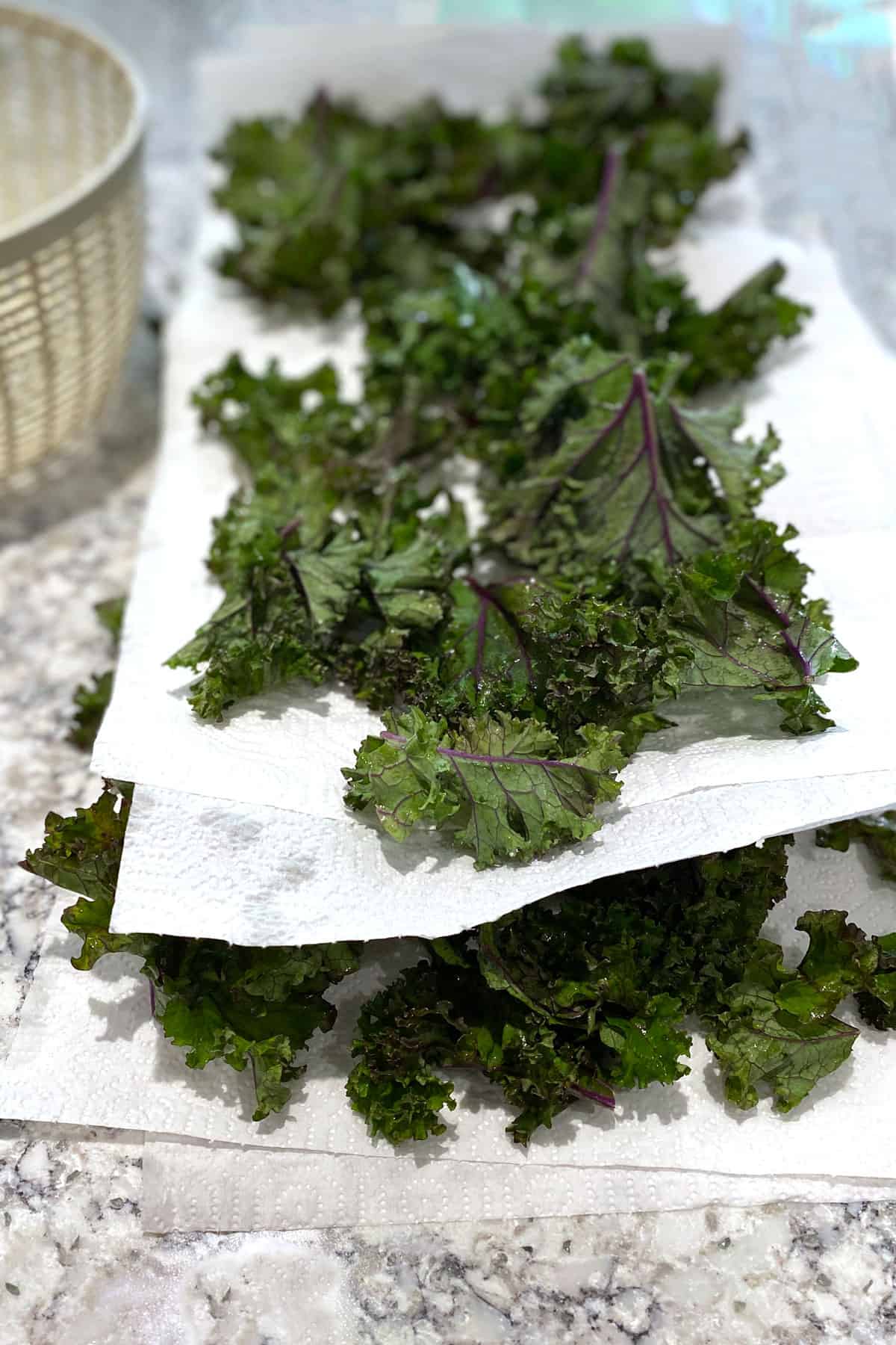 a double layer of curly kale leaves on long sheets of paper towels