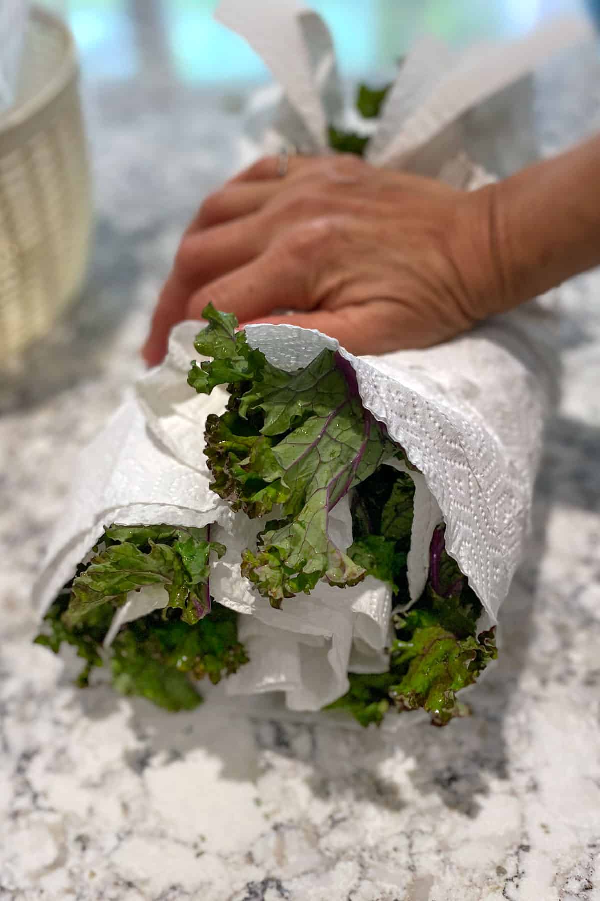 A hand shown rolling up a bunch of curly kale leaves in paper towels