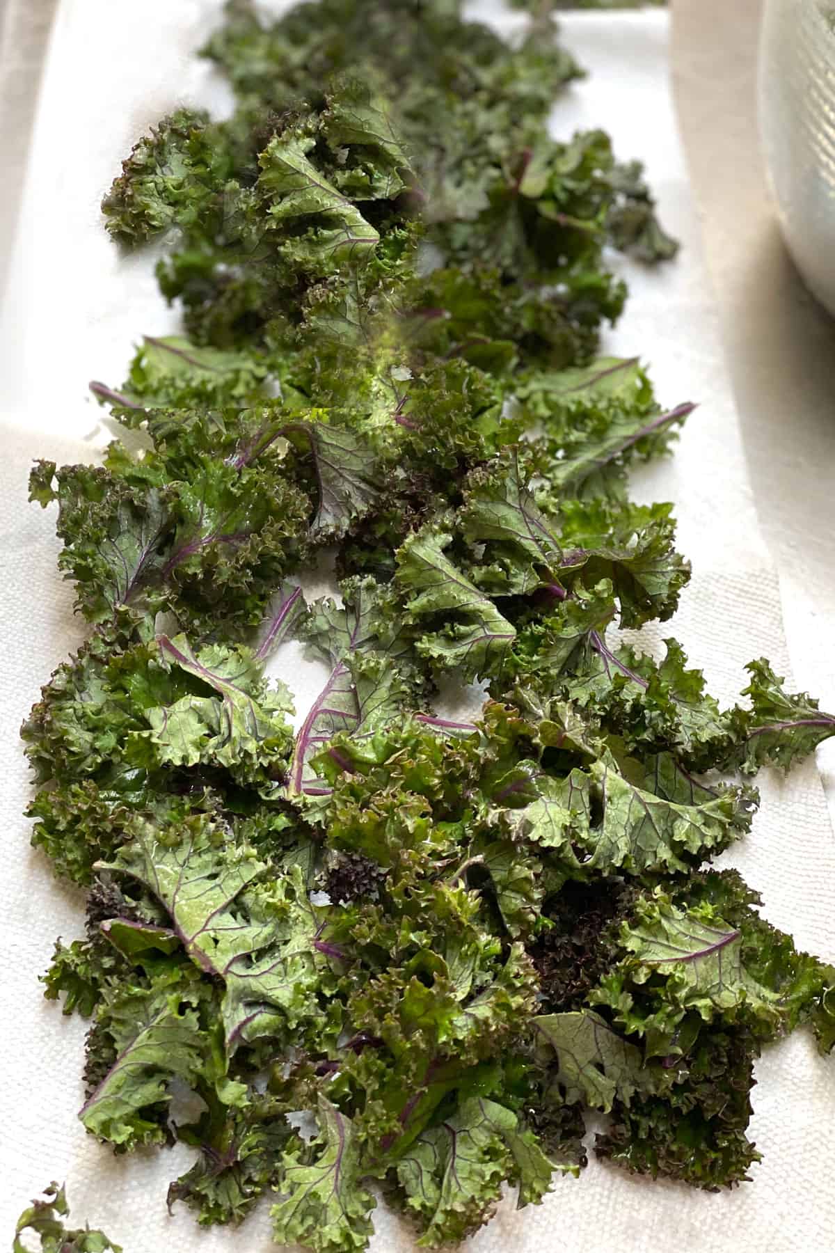 frilly green kale leaves on top of a long sheet of paper towels