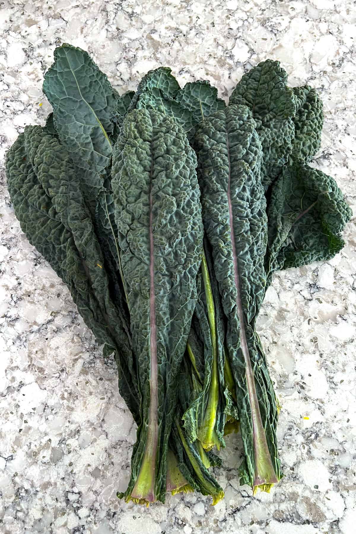bunch of tuscan kale on a granite countertop