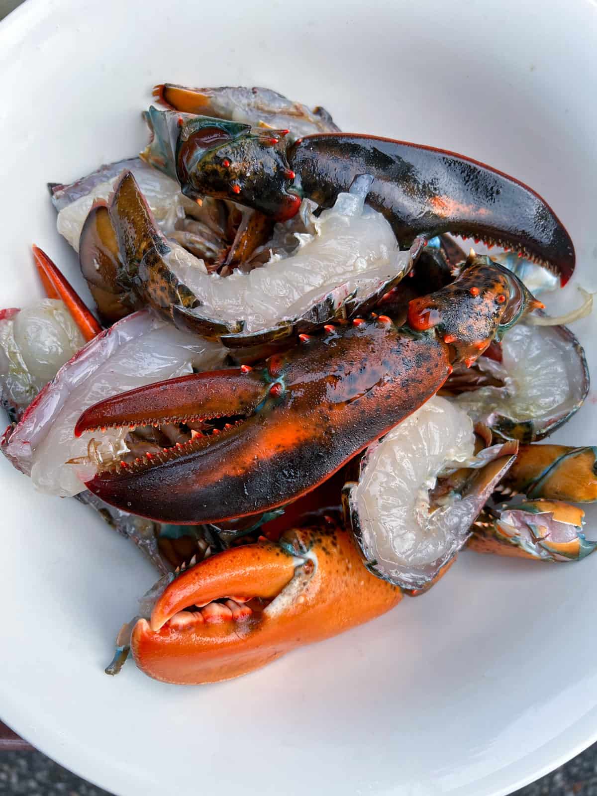 raw lobster claws and tails in a bowl